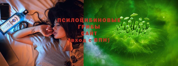 прущие грибы Аркадак