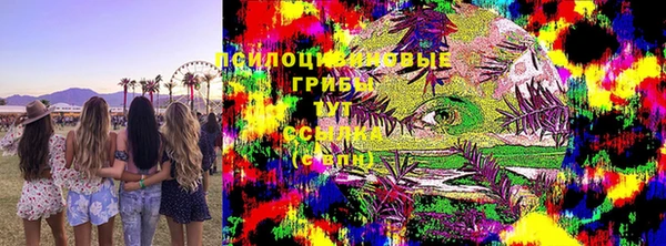 герыч Алзамай