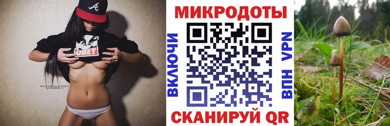 сколько стоит  Урюпинск  Псилоцибиновые грибы Psilocybine cubensis 